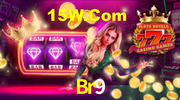 Premium Interface Br9